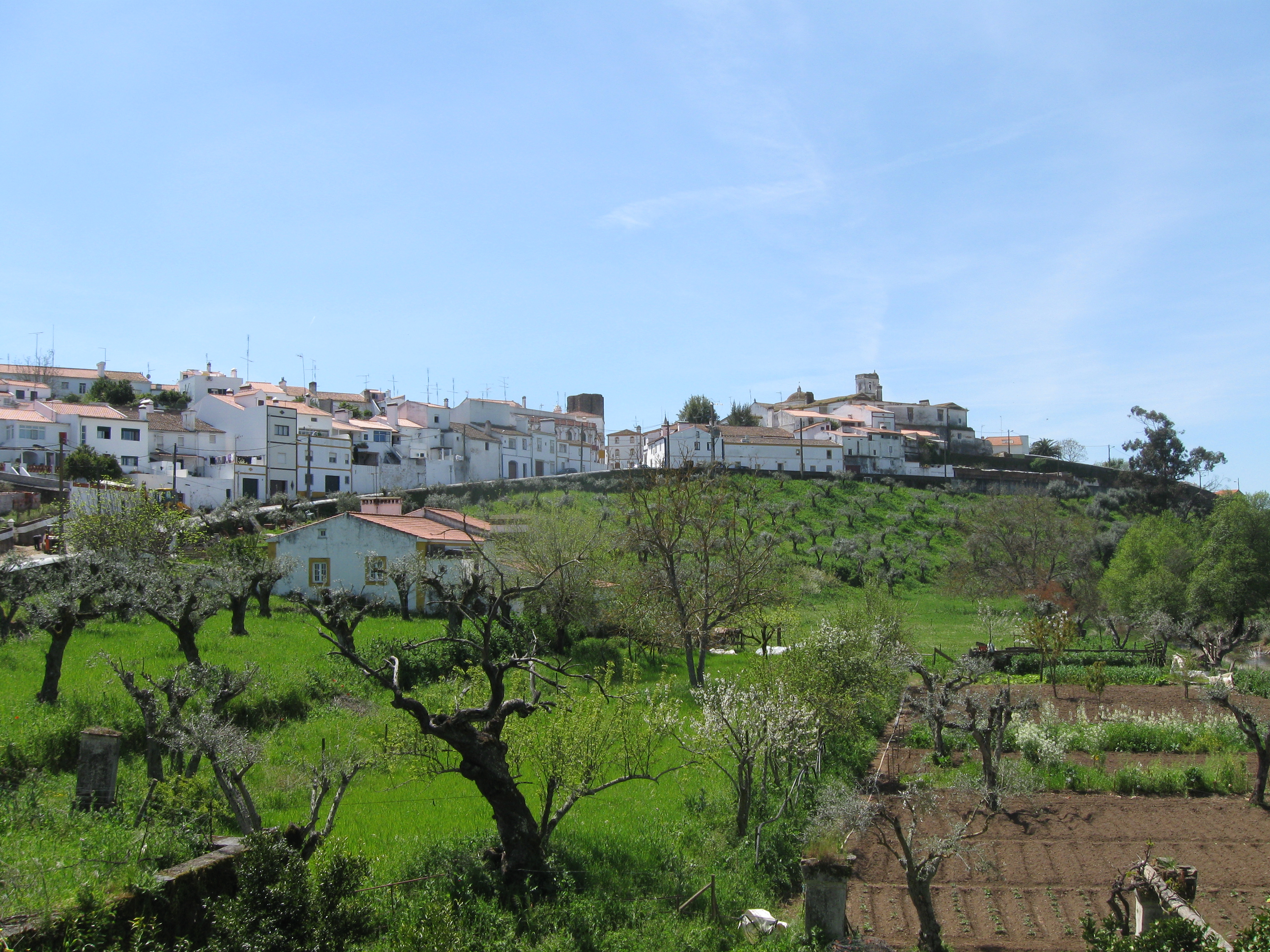 Portuguese Countryside